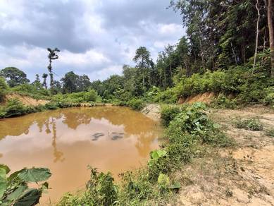 Agricultural Land in Raub, PHG