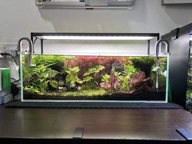set shallow aquarium untuk dijual