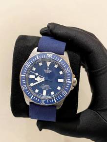 2025 Tudor Pelagos FXD MN25 Titanium Blue Dial