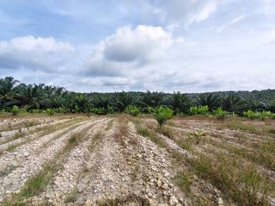 Agricultural Land in Sedenak, JHR