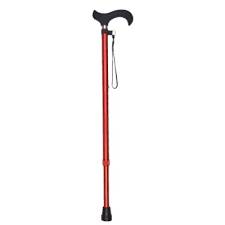 Hiking stick
