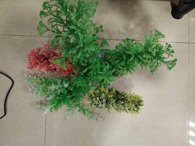 Aquarium Decorations