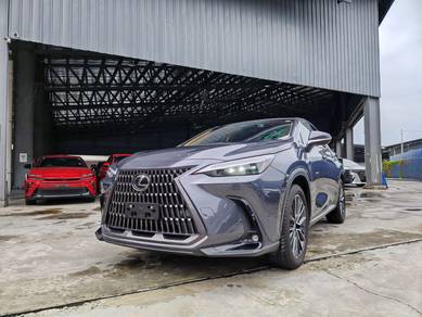 Lexus NX 250 LUXURY in Chan Sow Lin, KUL