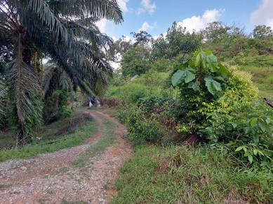 Agricultural Land in Kota Tinggi, JHR