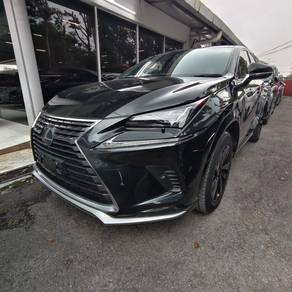 Lexus NX 300 VERSION L in Petaling Jaya, SGR