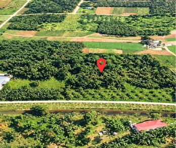 Agricultural Land in Kapar, SGR