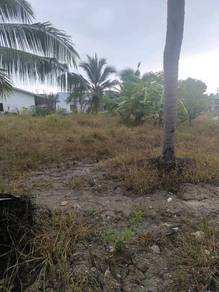 Agricultural Land in Tanjong Karang, SGR