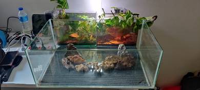 Aquarium 60x36x24