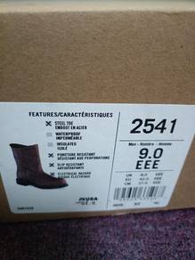 Red wings Pecos 2541