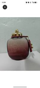 Coach wild rose