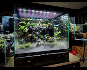Paludarium Premium Set Lengkap Siap Susun