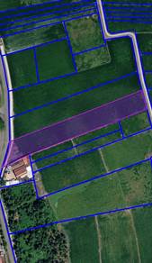 Agricultural Land in Penaga, PNG