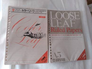 20 holes A4 loose leaf 20 穴 A4 紙 x 2