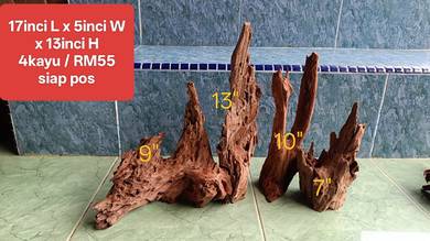 set kombo 4kayu untuk aquascape