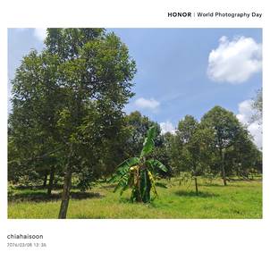 Agricultural Land in Others, JHR