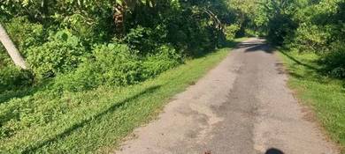 Residential Land in Chemor, PRK