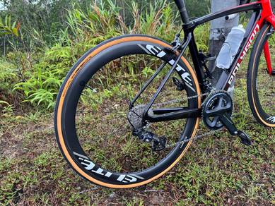 Road bike Polygon TSG Team Edition