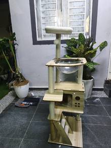 play ground for cat