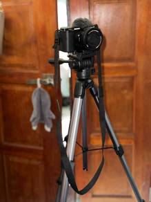 sony zv - e10