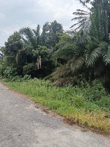Residential Land in Beruas, PRK