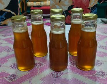madu kelulut asli