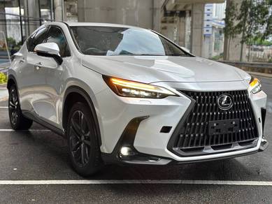 2022 Lexus NX 250 LUXURY