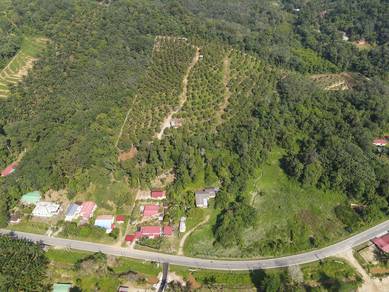 Agricultural Land in Tanjung Malim, PRK
