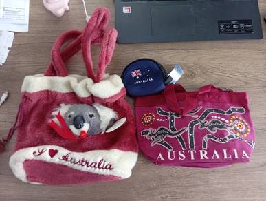 2 Attractive Bag & Mini Purse From Australia