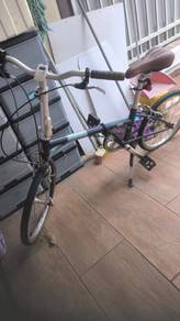 Raleigh Classic Folding Bike