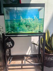kolam ikan