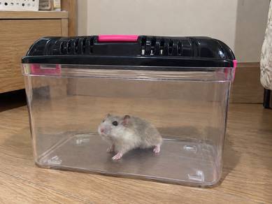 Small Pet Carrier / Habitat 🐹🐢🐠