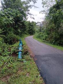 Agricultural Land in Tanah Merah, KTN