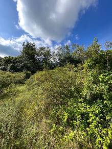 Agricultural Land in Rembau, NSN