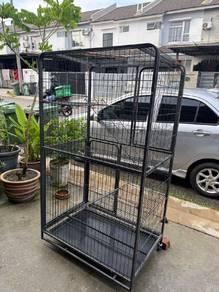 sangkar kucing 
