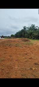 Agricultural Land in Muar, JHR