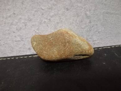 Rare Stone Dinosaur Head