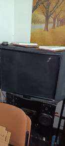 TV no sound got display