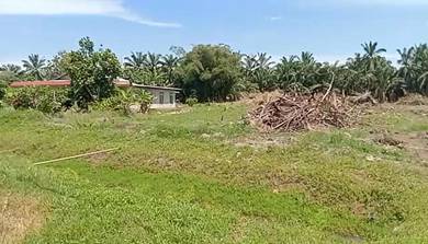 Agricultural Land in Senggarang, JHR
