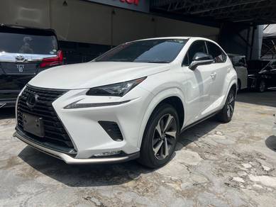 Lexus NX 300 SPICE&CHIC in Damansara Jaya, SGR