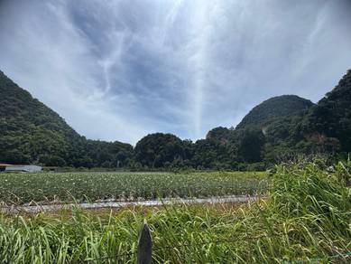 Agricultural Land in Ipoh, PRK