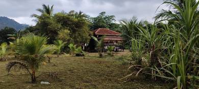 Agricultural Land in Hulu Langat, SGR