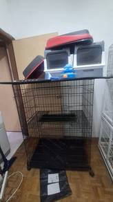 Sangkar kucing accesories