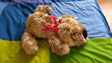 Valentine Golden Shaggy Dog soft toy (Large size)