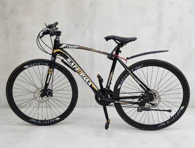 bicycle sanhema hybrid