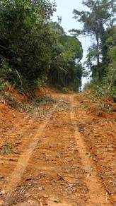 Agricultural Land in Bukit Beruntung, SGR