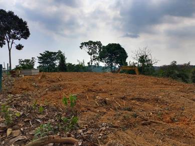Agricultural Land in Pedas, NSN