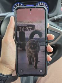 Samsung Galaxy ZFlip 5