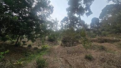 Agricultural Land in Balik Pulau, PNG