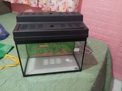 aquarium 