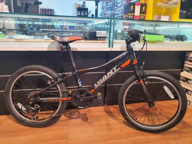 Giant Mountain Bike (Junior)